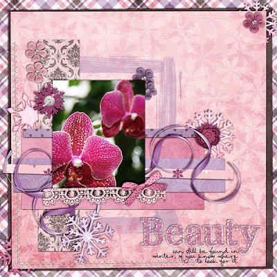 Winter Beauty