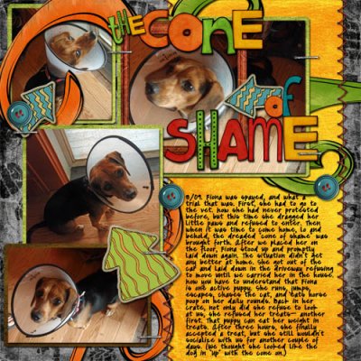 The Cone of Shame