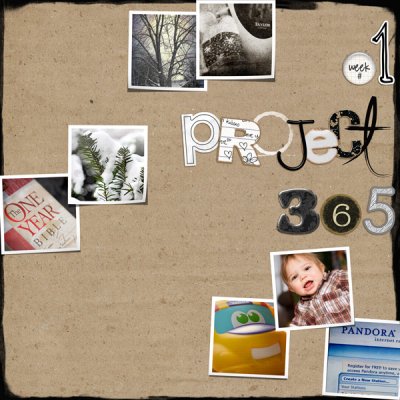Project 365, Week 1