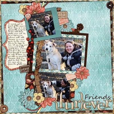 Friends Furever