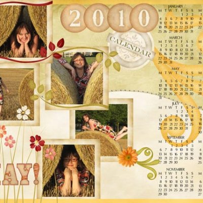 Calendar 2010 :: We Say Hay!