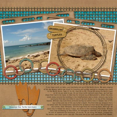 Endangered Sea Turtles