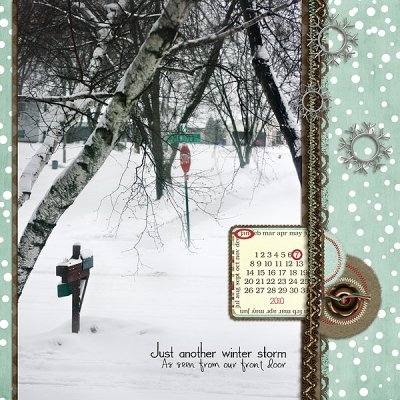 Winter Storm
