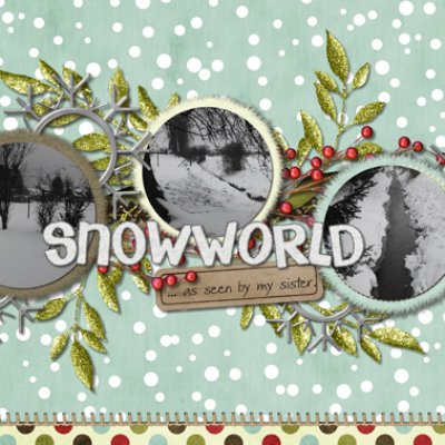Snow World Seen by ...