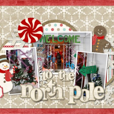 To The North Pole