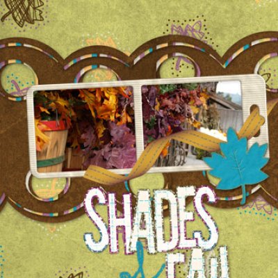 Shades of Fall