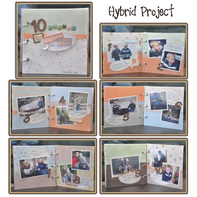 10 Things to Explore at the Zoo Hybrid Book