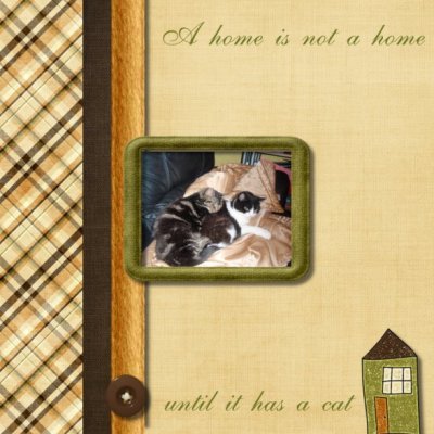 A home