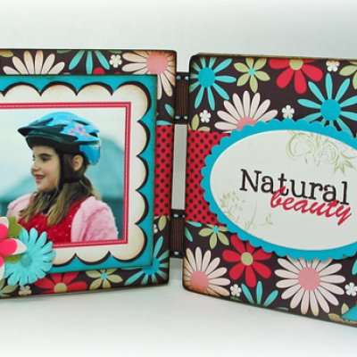Coaster frame