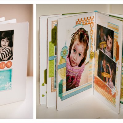 2009 Board Book