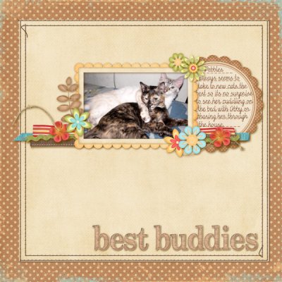 Best Buddies