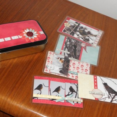 Birds from the garden