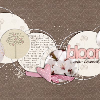 Bloom So Tender
