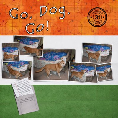 Go Dog. Go!