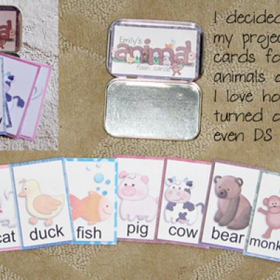 Animal Flash Cards in a tin