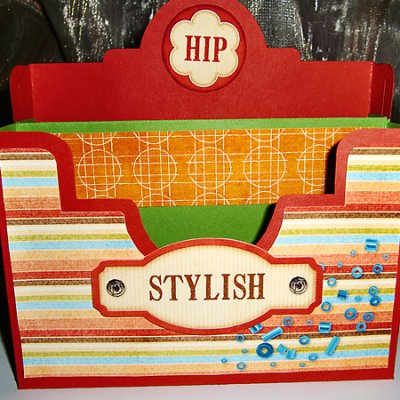 Hip and Stylish card holder
