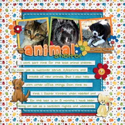 Animal Shelter