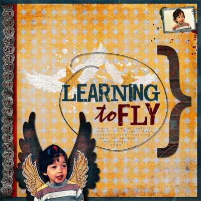Learning To Fly