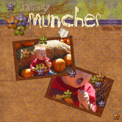 Hay Muncher