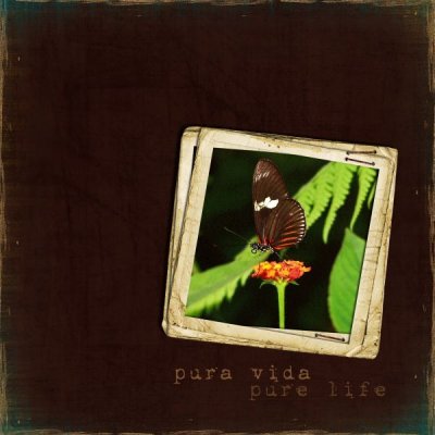 Pura Vida..Pure Life