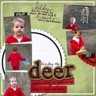 Feeding the Deer