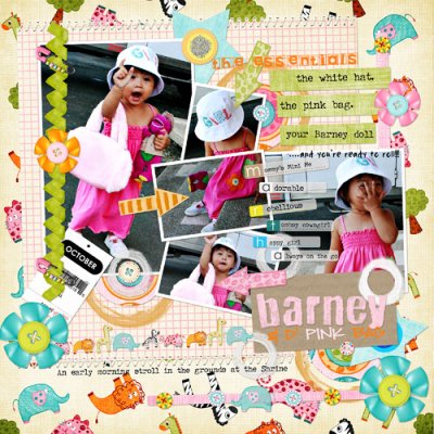 Barney and the Pink Bag
