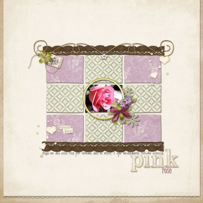 A Special Pink Rose