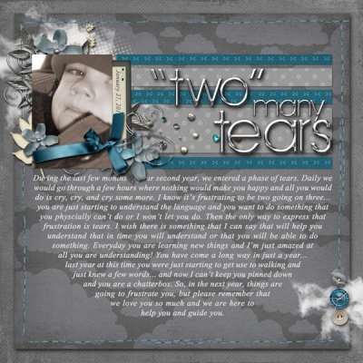 2010_01_27-two-many-tears