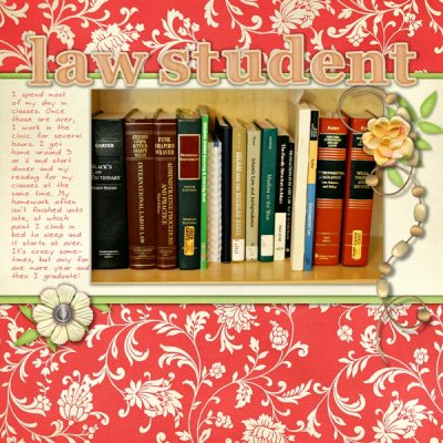 Law Student