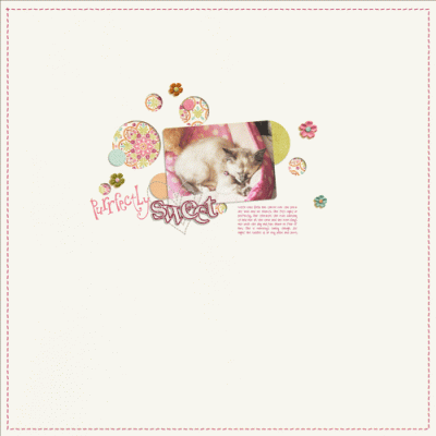 Purrfectly Sweet