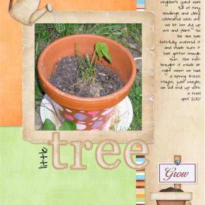 Little Tree