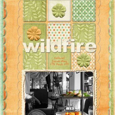 Wildfire