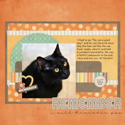 I will remember you