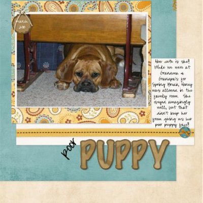 Poor Puppy