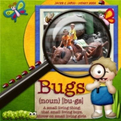 Bugs Defined