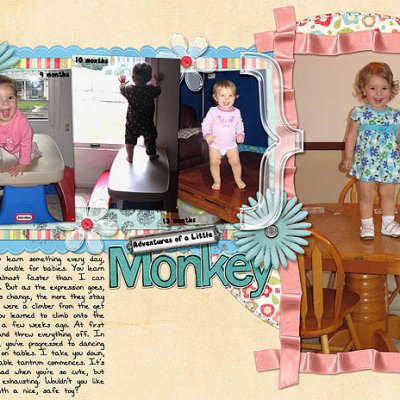 Adventures of a Little Monkey