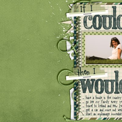 If I Could I Would