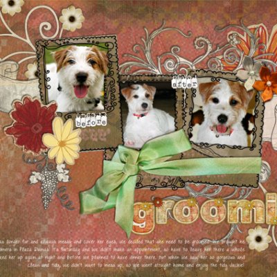 Grooming
