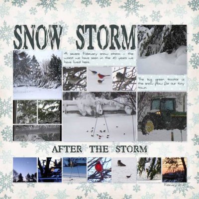 Snow Storm