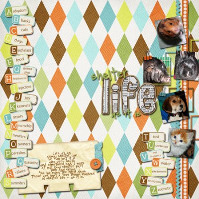 ABC List - Shelter Life - As It Is