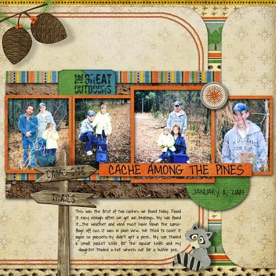 Cache Among the Pines