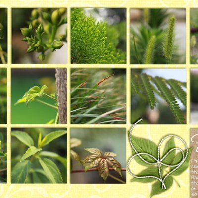 Nature's Beauty