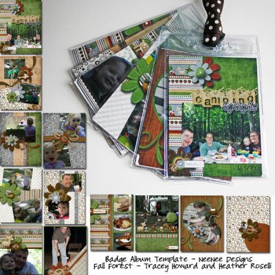 Camping highlights badge album