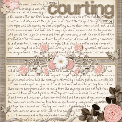 Our Courtship