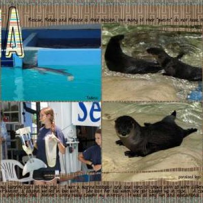 CMA (Clearwater Marine Aquarium)