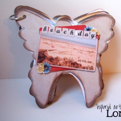 Butterfly Book