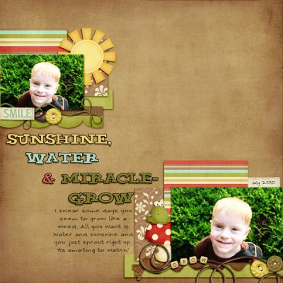 Sunshine, Water & Miracle-Grow