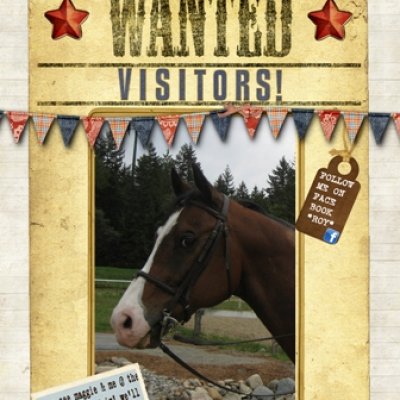 Wanted: Visitors