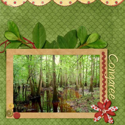 Congaree