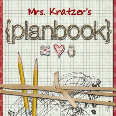 my 2010-11 plan book